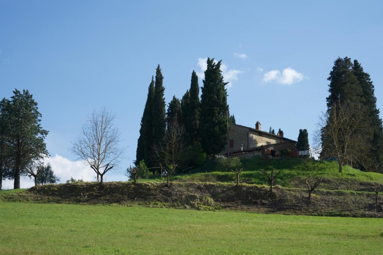 Agriturismo Il Caio チェトーナ エクステリア 写真
