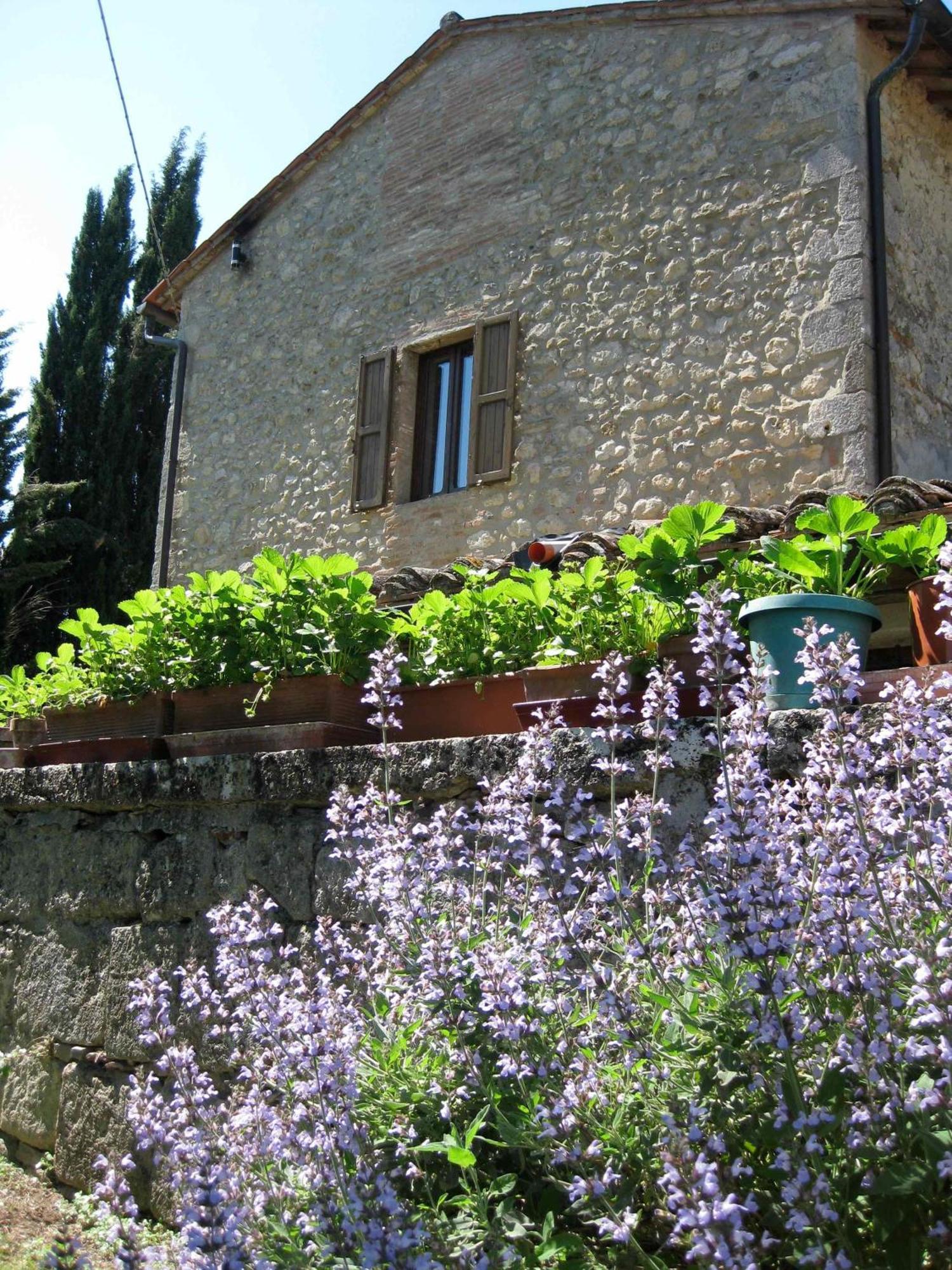Agriturismo Il Caio チェトーナ エクステリア 写真