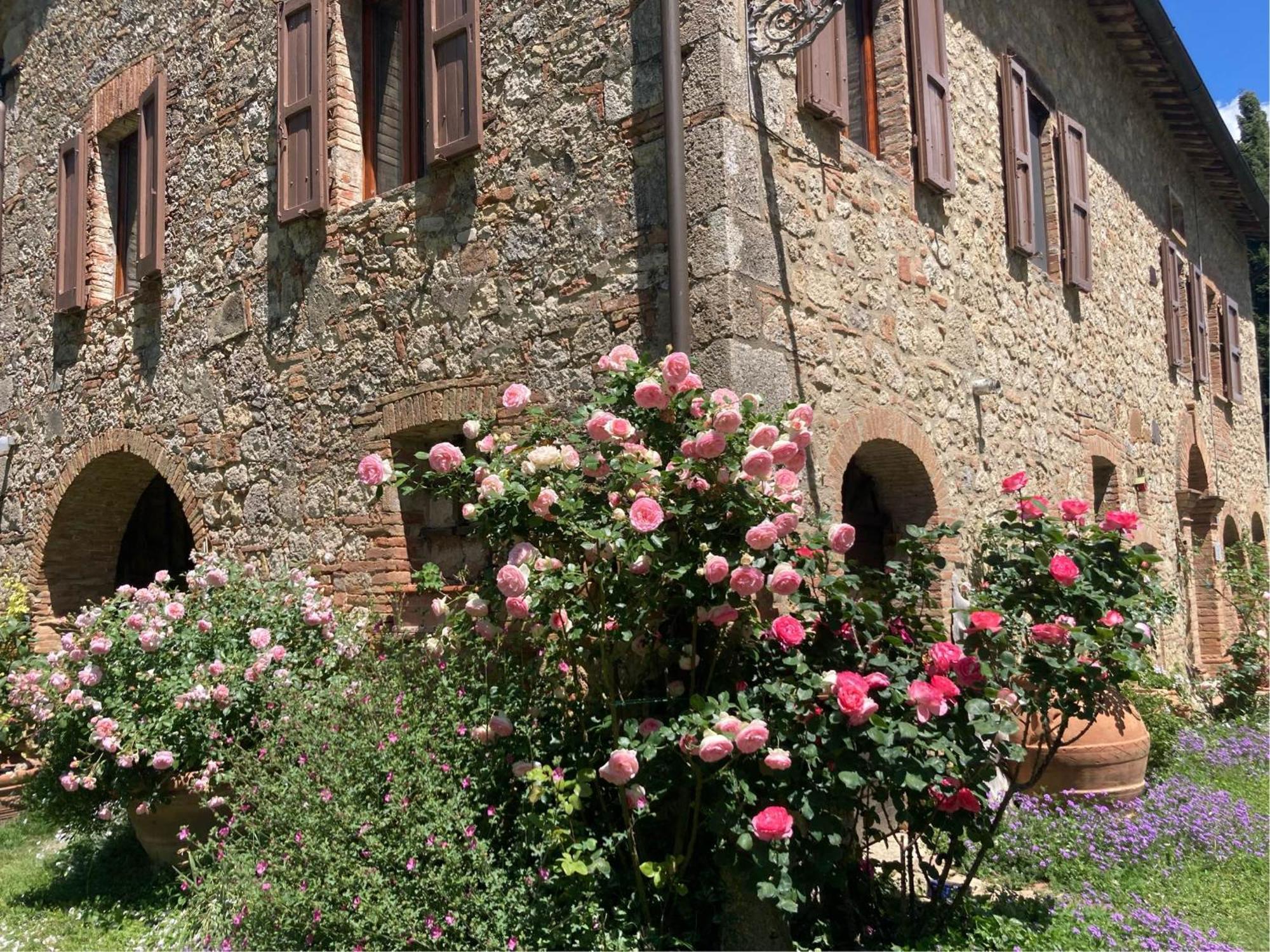 Agriturismo Il Caio チェトーナ エクステリア 写真