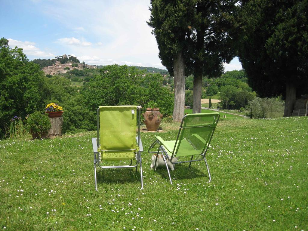 Agriturismo Il Caio チェトーナ エクステリア 写真
