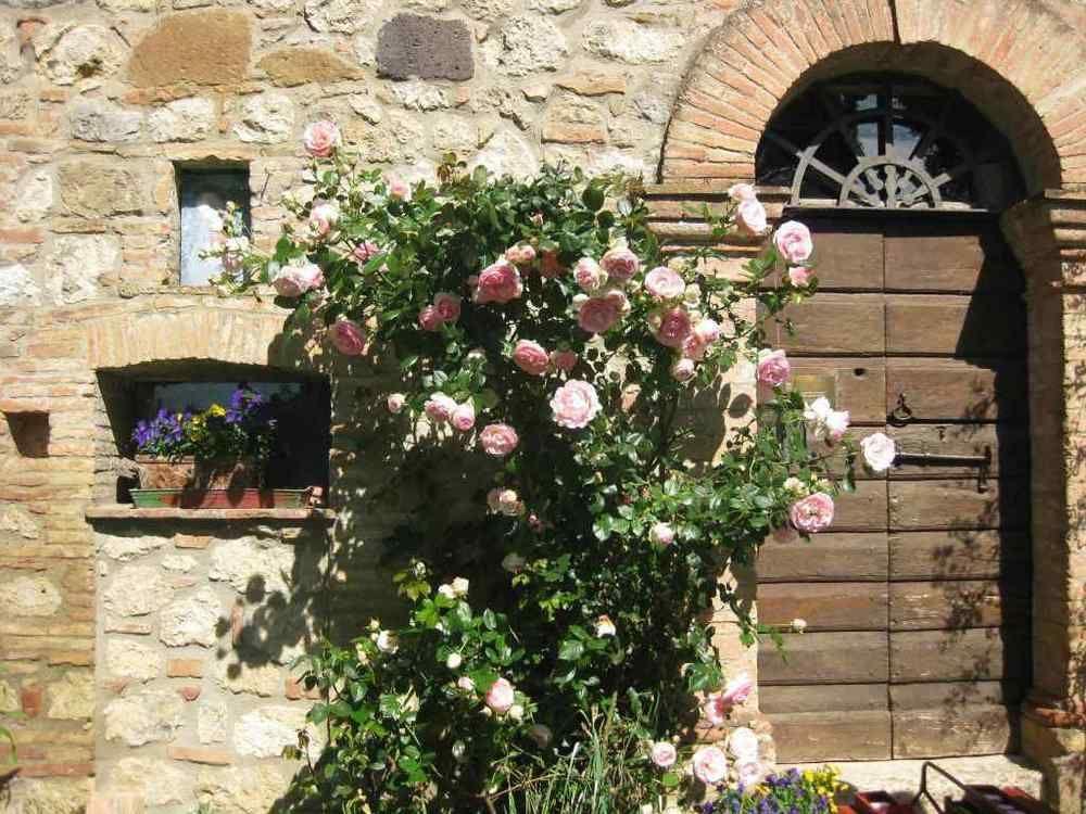 Agriturismo Il Caio チェトーナ エクステリア 写真
