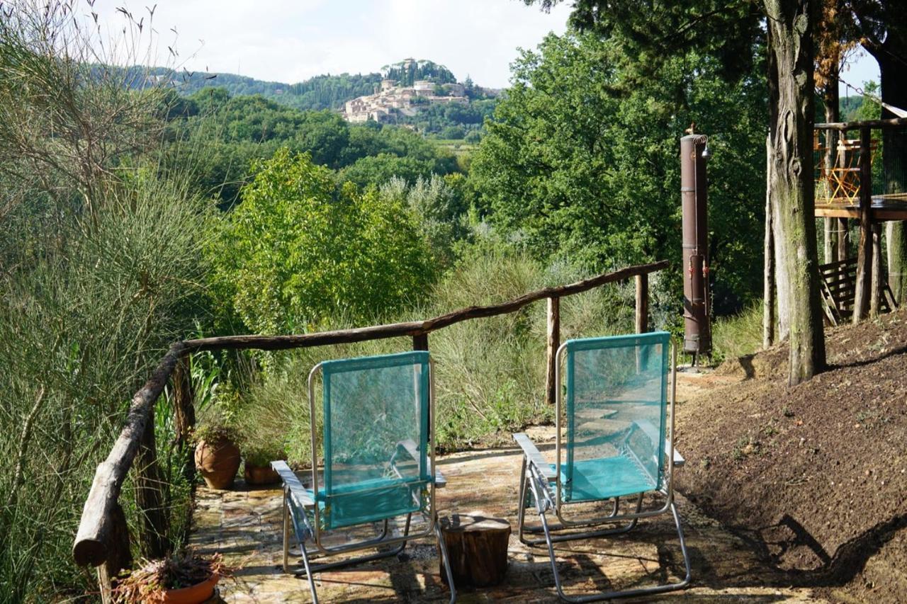 Agriturismo Il Caio チェトーナ エクステリア 写真